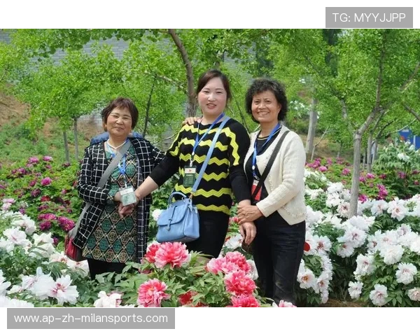 太阳体能管理见成效，助力健康新生活